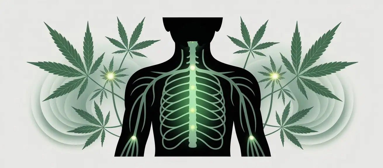 Infografik CBD gegen Nervenschmerzen