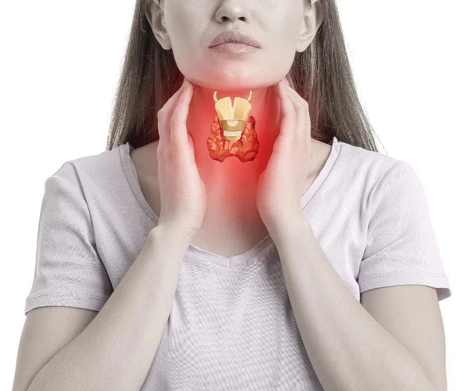 Warum sich CBD Öl positiv auf die Schilddrüse auswirkt