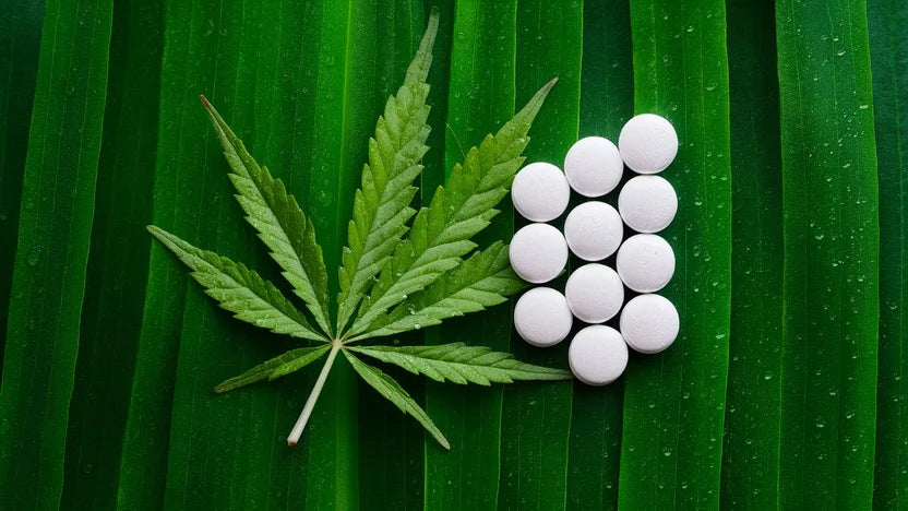 CBD und Melatonin – Erfahrungen von Anwendern