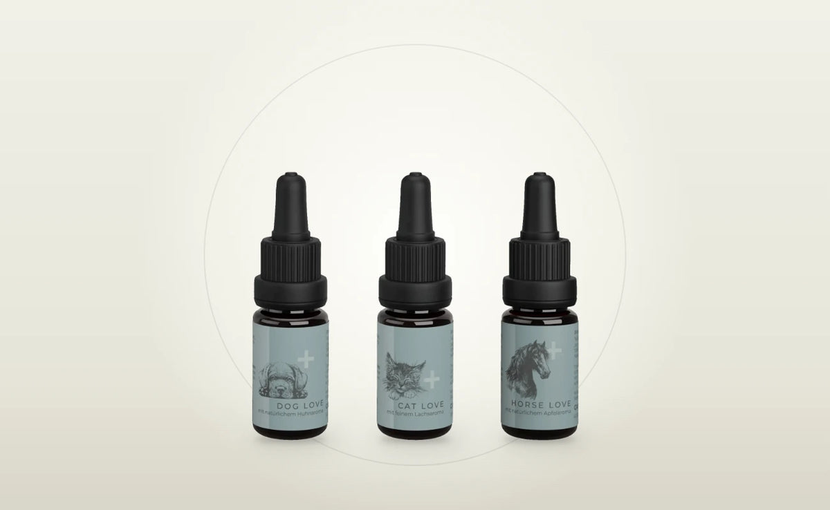 CBD Öl für Hund, Katze und Pferd von CANNABY