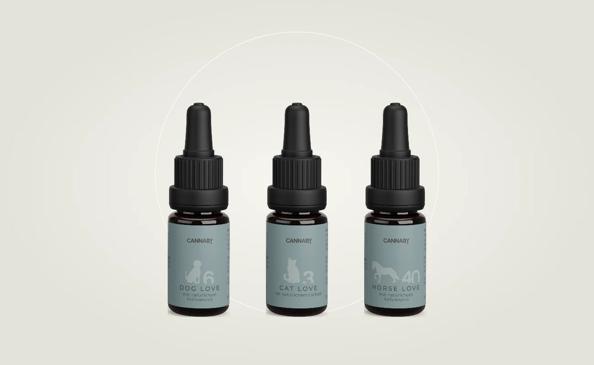 CBD Öl für Hund, Katze und Pferd von CANNABY