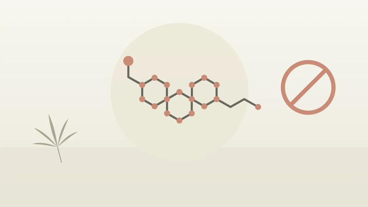 Molekülstruktur mit Verbotszeichen für das Cannabinoid 10-OH-HHC