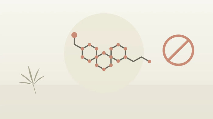 Molekülstruktur mit Verbotszeichen für das Cannabinoid 10-OH-HHC