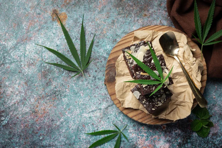 Kochen mit CBD: CBD Öl richtig verwenden, ohne die Wirkung zu zerstören