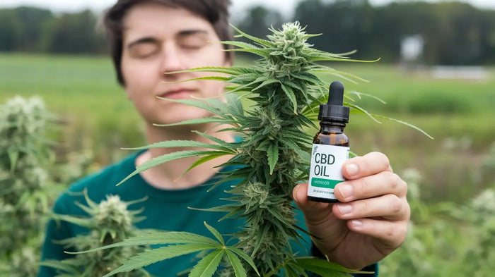 Cannabis-Entzug lindern mit CBD – So geht’s!