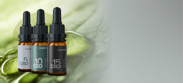 CBD Öl Haltbarkeit und Lagerung – was Du wissen solltest