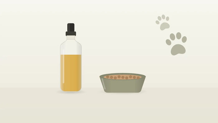 Hundenapf, Hundepfote und CBD-Öl-Fläschchen für Hunde