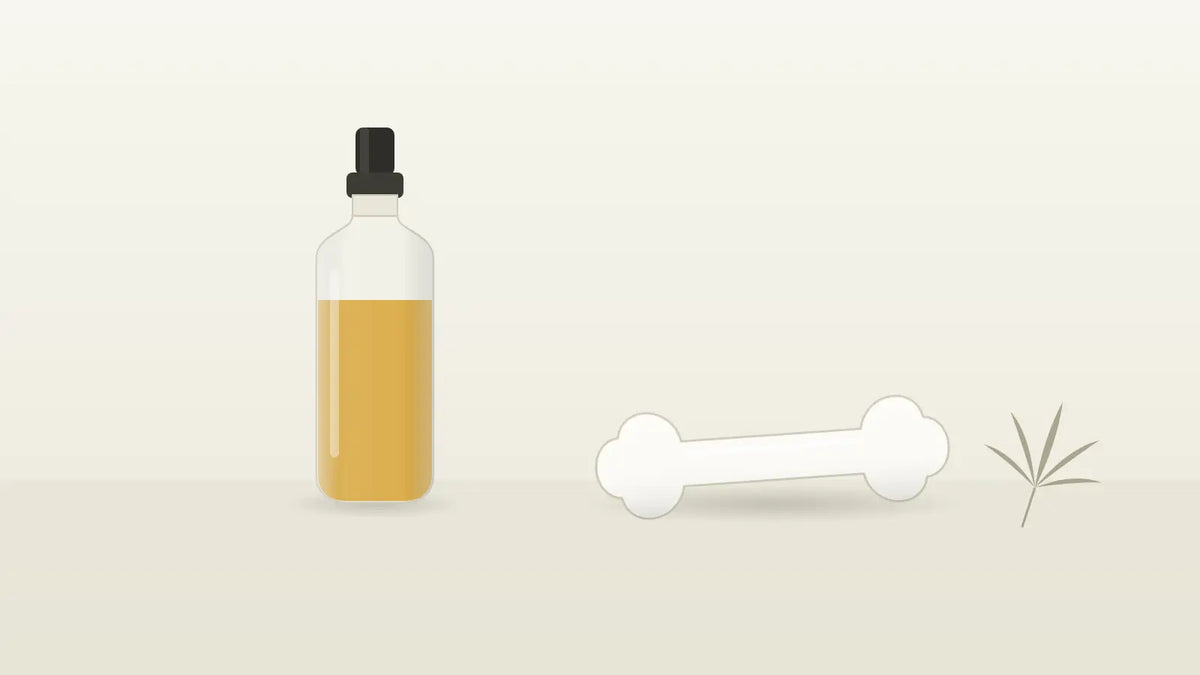 Stilisierter Knochen und CBD-Öl-Fläschchen als Symbol für Knochengesundheit