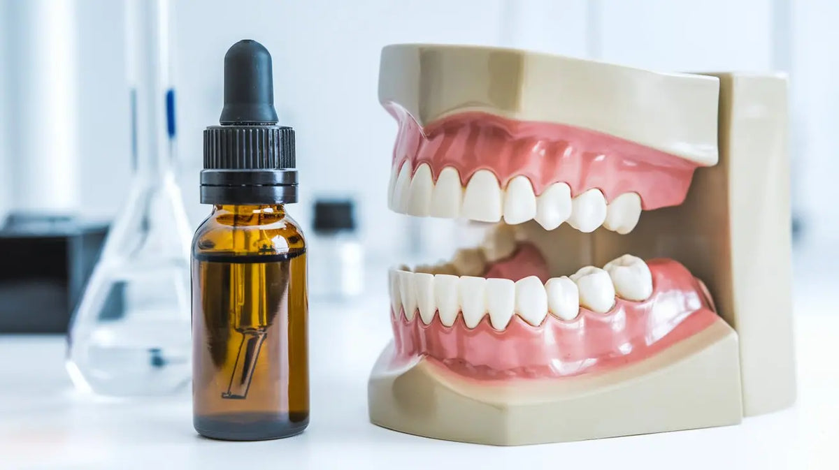 CBD gegen Zähneknirschen: Wirkung, Anwendung und Studien