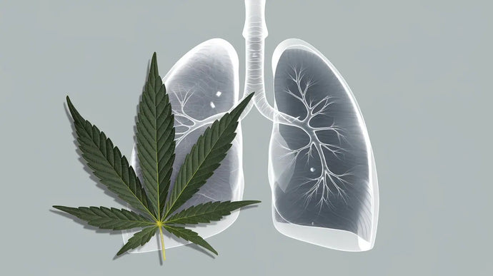 COPD behandeln - Potenzial von Cannabinoiden
