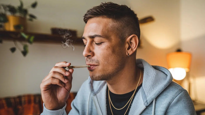 Ist CBD schädlich für die Lunge?