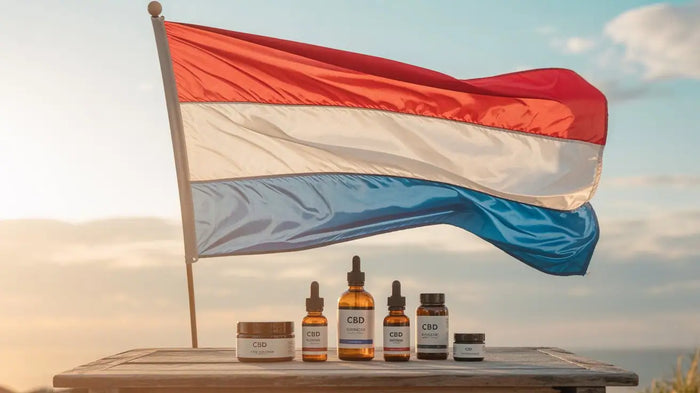 Niederländische Flagge über CBD-Öl-Fläschchen und Tiegeln auf einem Holztisch