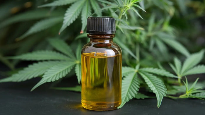 Braunglasflasche mit goldgelbem CBD Öl vor Hanfblättern