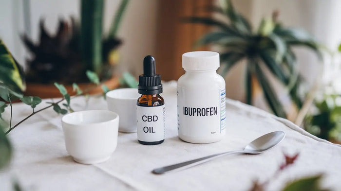 CBD und Ibuprofen zusammen einnehmen? – Wechselwirkung und Studien