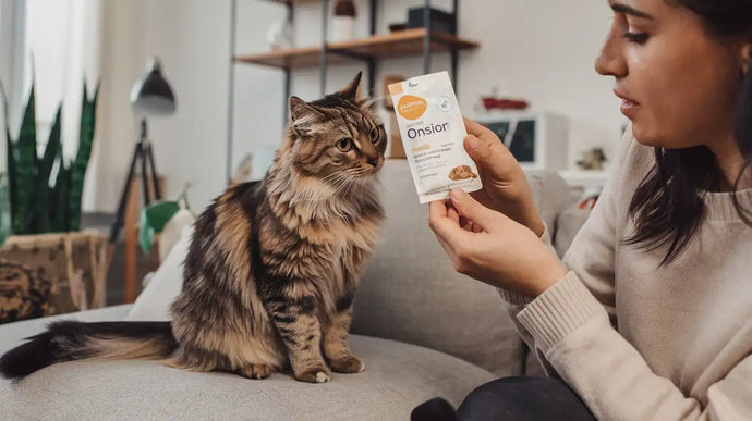 Onsior für die Katze – Erfahrungen, Nebenwirkungen & Alternativen