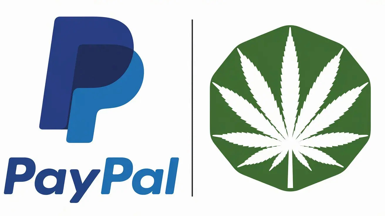 CBD & PayPal - Warum wir keine Zahlungen über PayPal anbieten