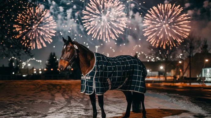 CBD Öl für Pferde an Silvester - stressfrei ins neue Jahr