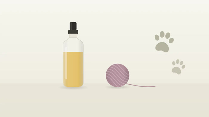 Katzenpfote, Wollknäuel und CBD-Öl-Fläschchen für Katzen