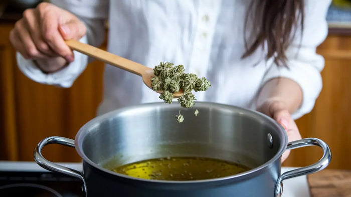 CBD Öl selber herstellen mit Olivenöl – Schritt für Schritt Anleitung