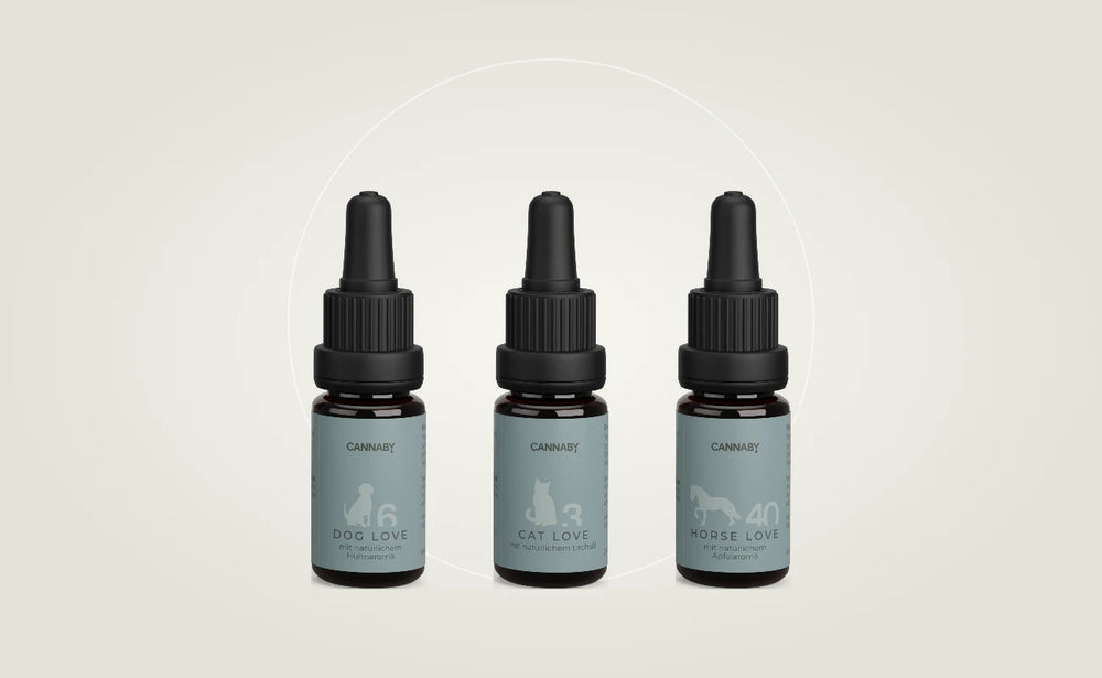 CBD Öl für Hund, Katze und Pferd von CANNABY