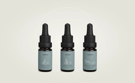 CBD Öl für Hund, Katze und Pferd von CANNABY