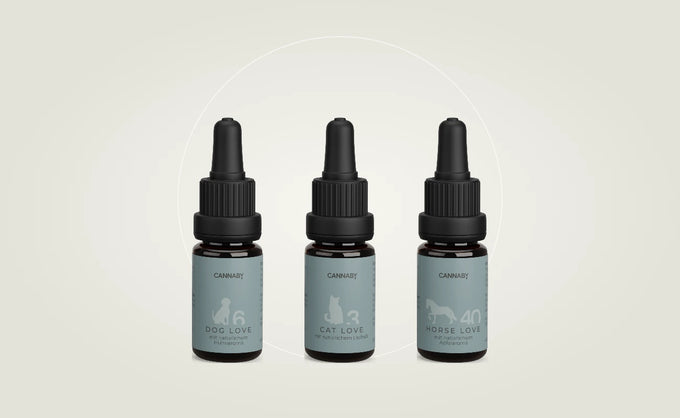 CBD Öl für Hund, Katze und Pferd von CANNABY