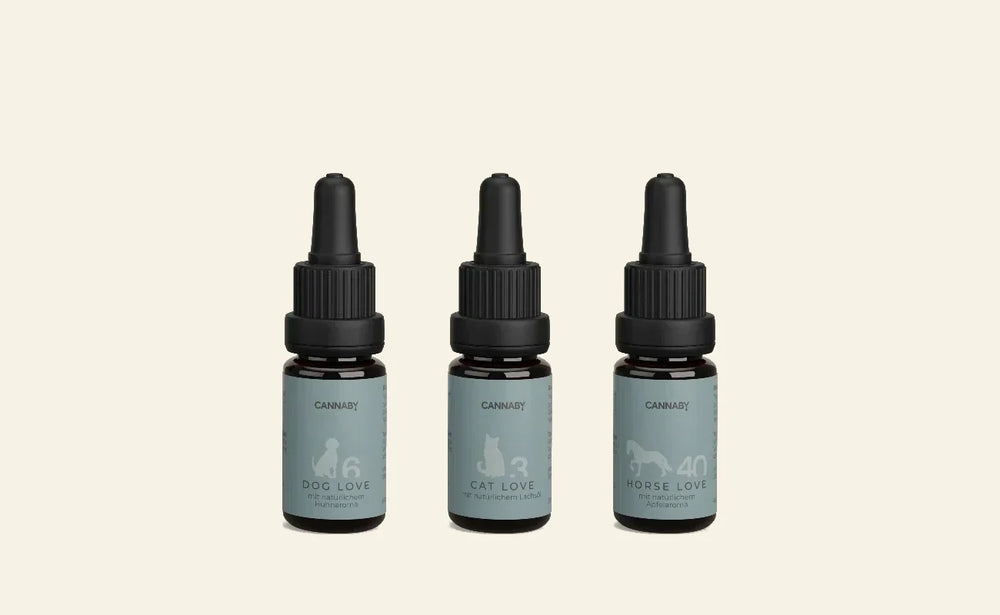 CBD Öl für Hund, Katze und Pferd von CANNABY