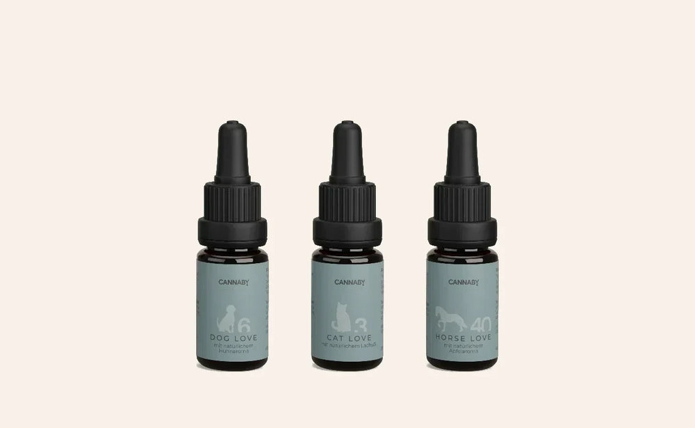 CBD Öl für Hund, Katze und Pferd von CANNABY